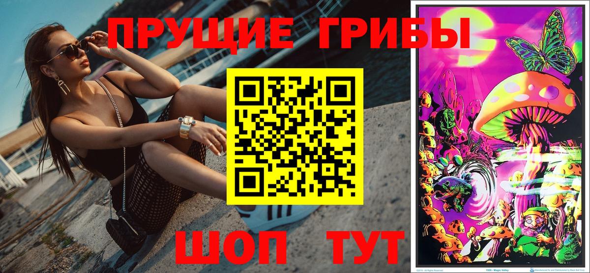 Псилоцибиновые грибы GOLDEN TEACHER  Вход с VPN  Псилоцибиновые грибы GOLDEN TEACHER  Конаково 